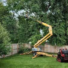 Best Hazardous Tree Removal  in Bridgeport, OH